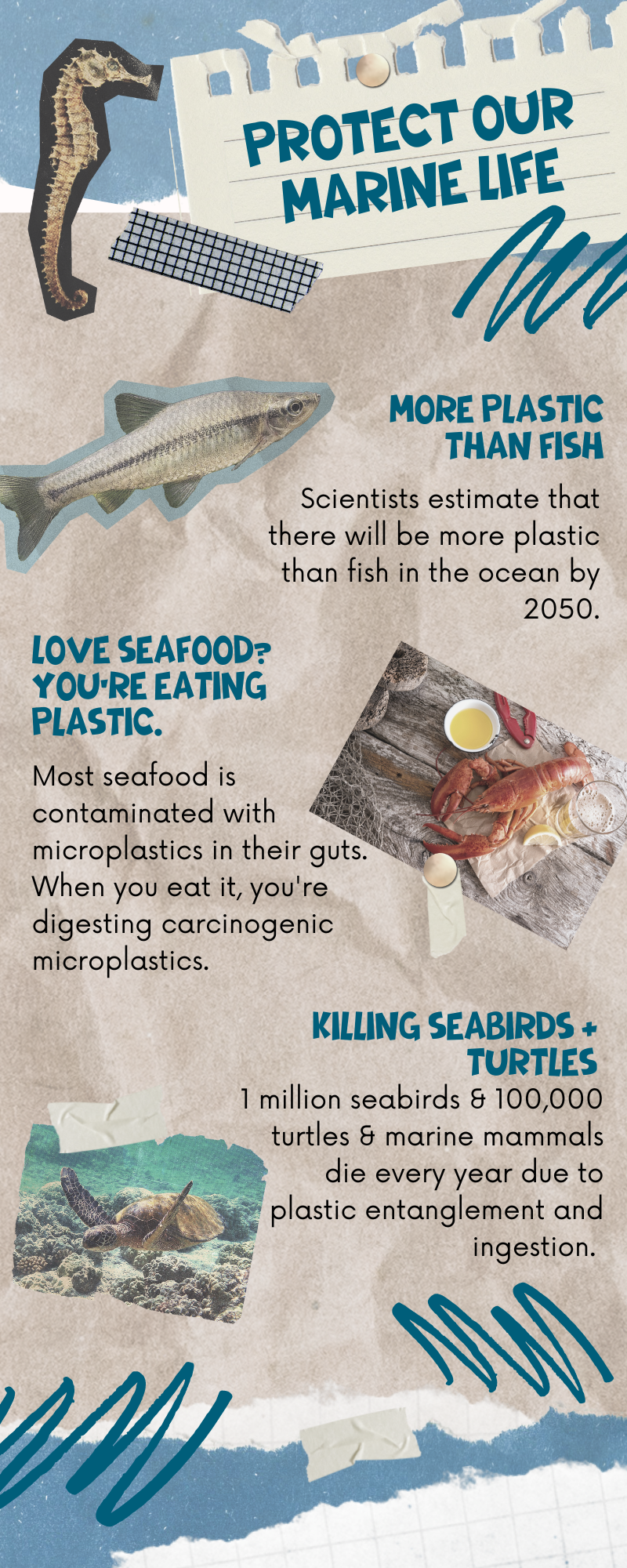 infographic on marine life