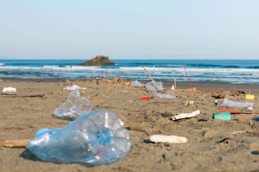 a beach littered with plastic